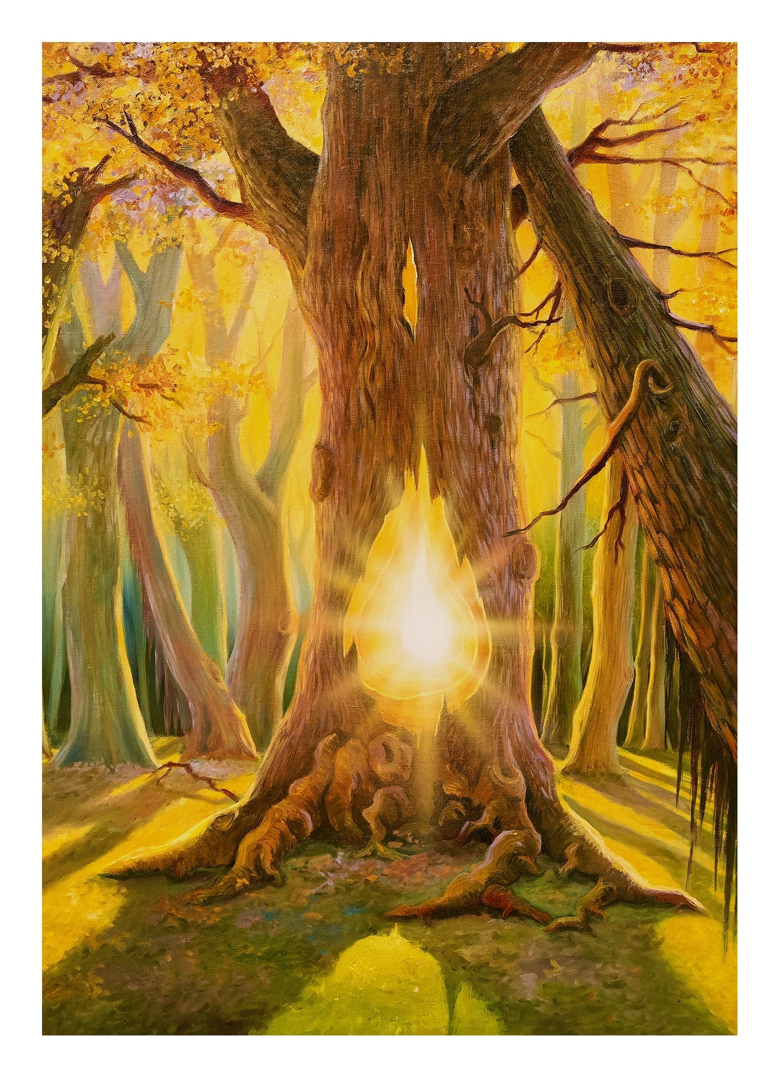 The Light of the Tree