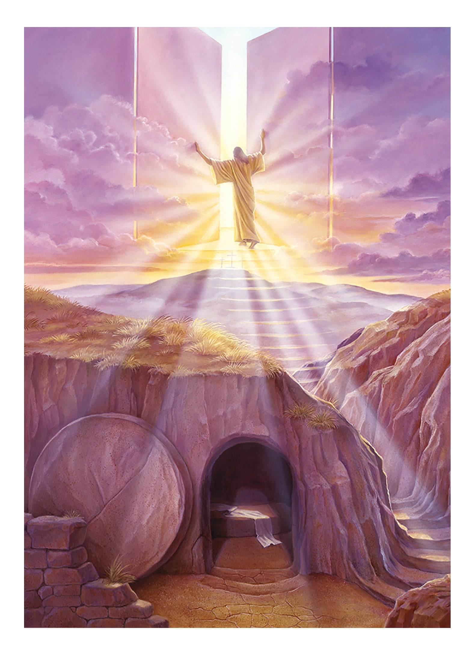 The New Consciousness