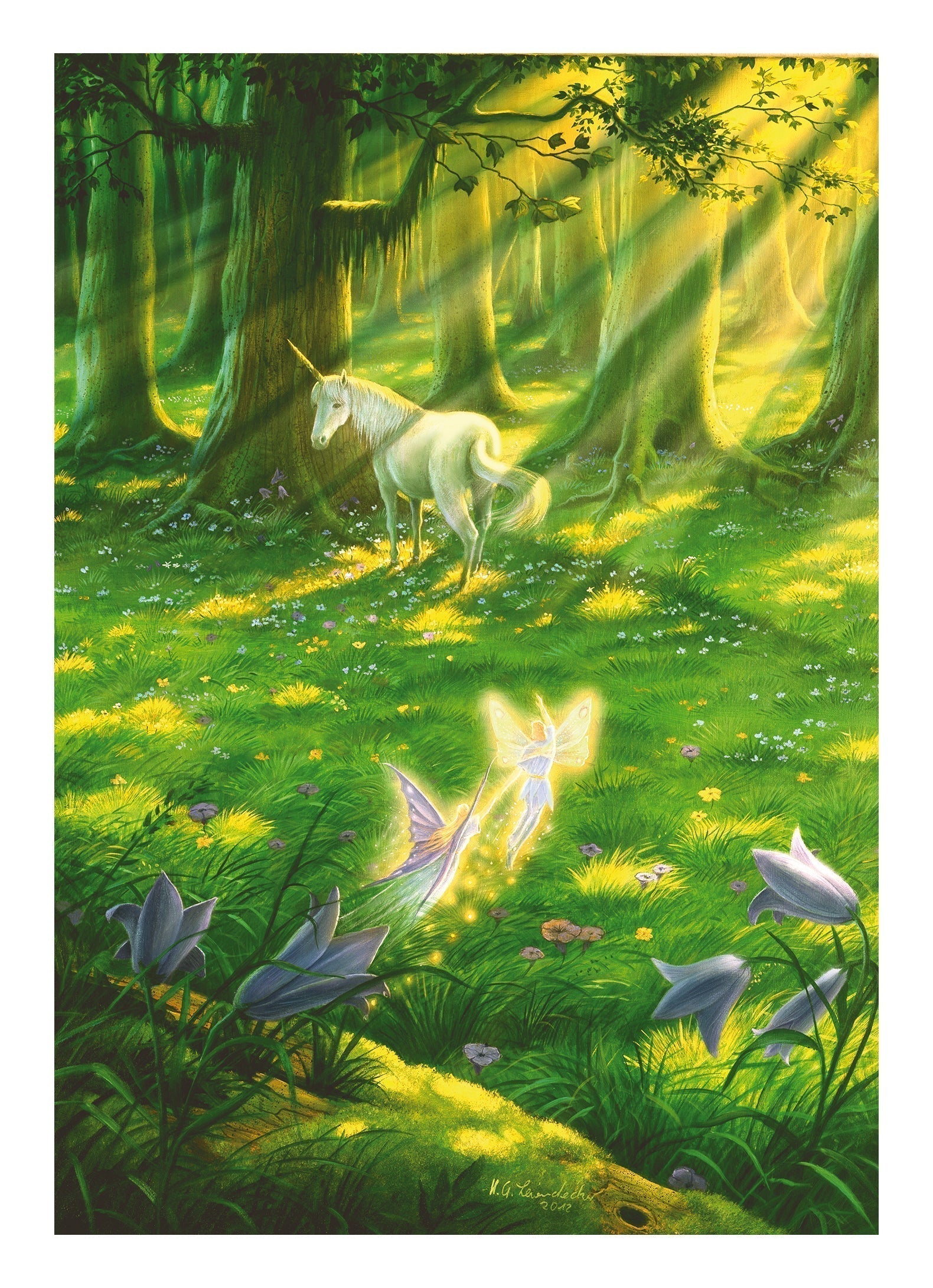 The Miracle of the Forest