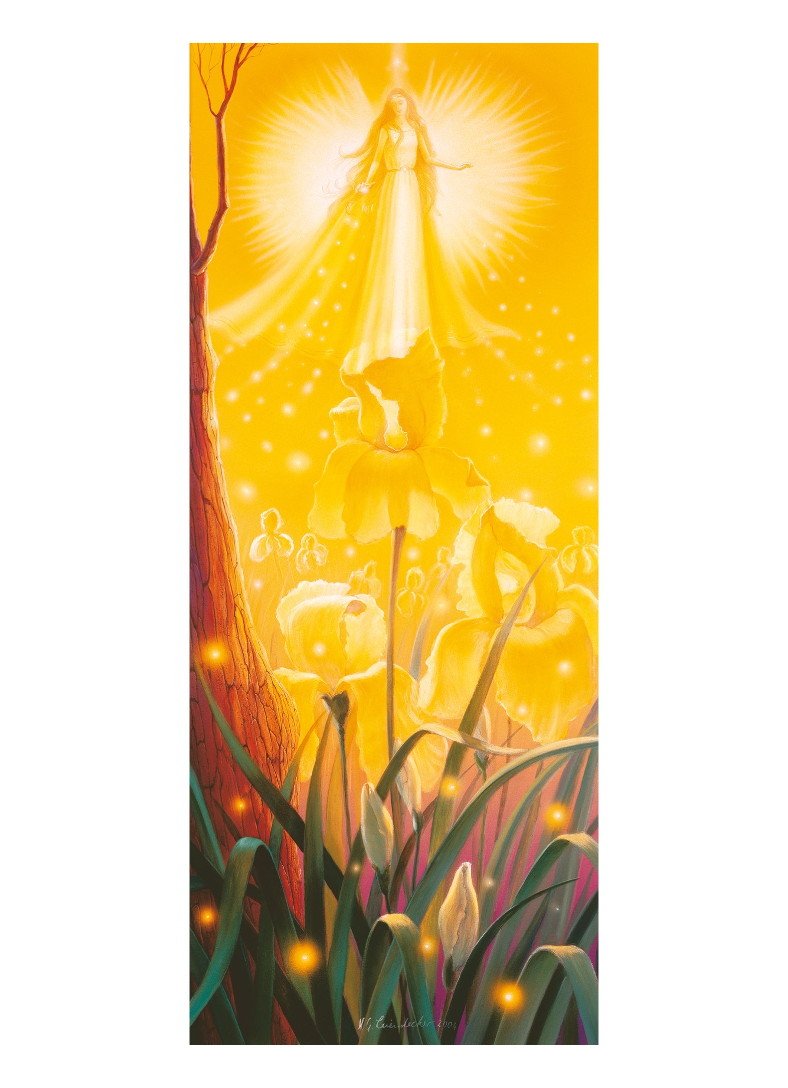 Angel of the Iris