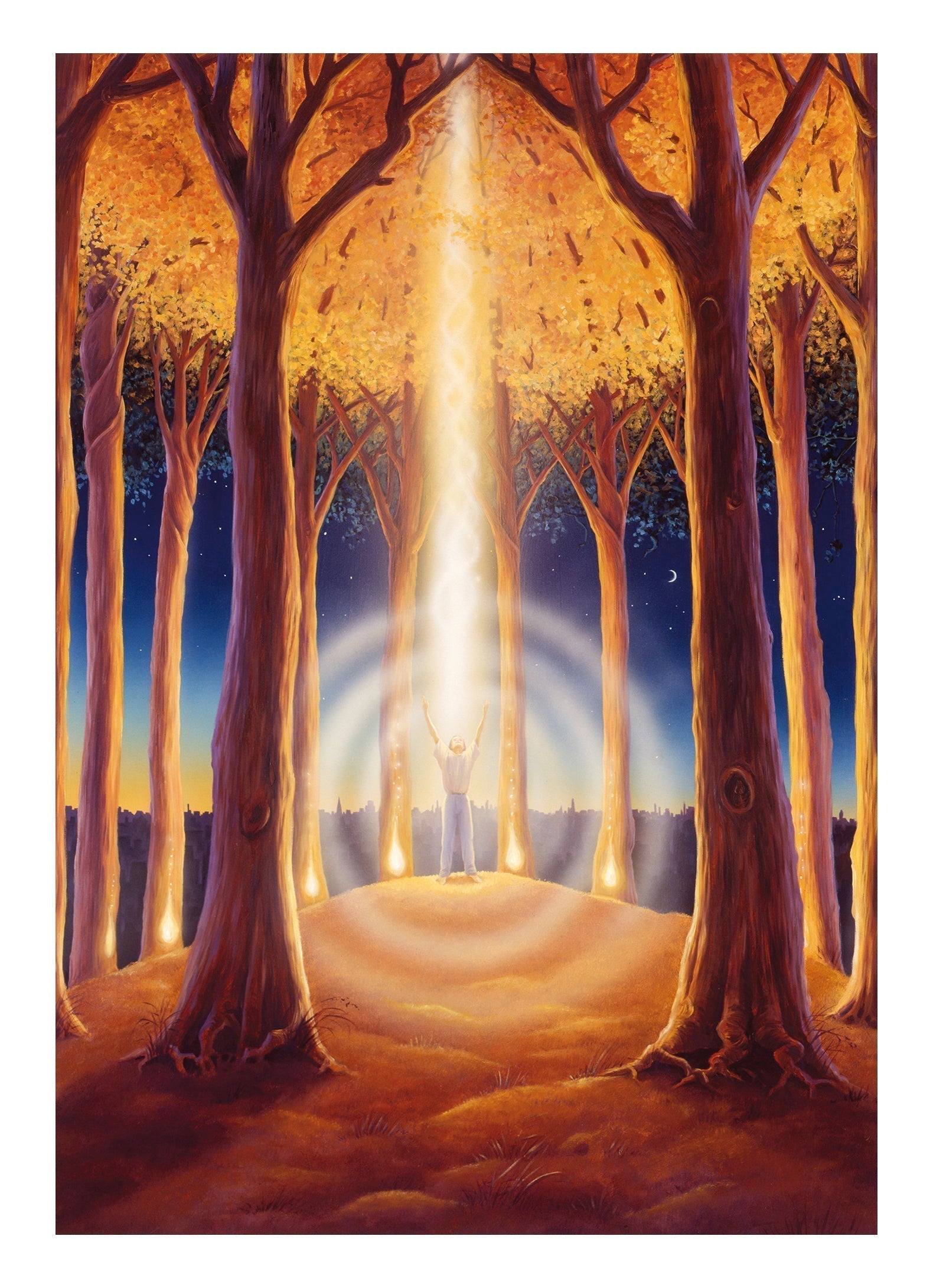 Power place forest