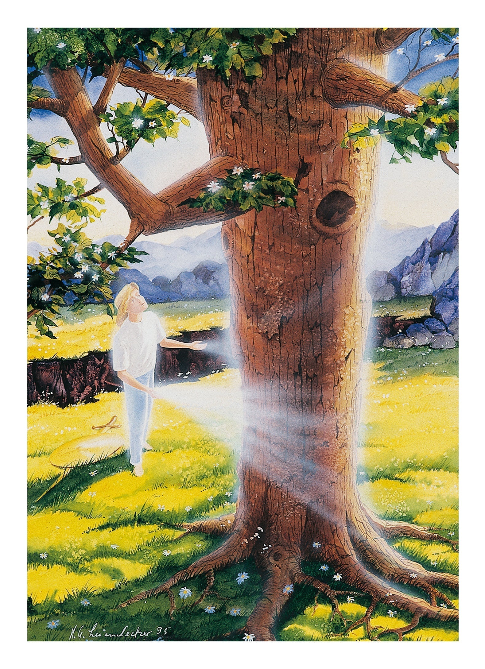 Life cycle - friend of trees