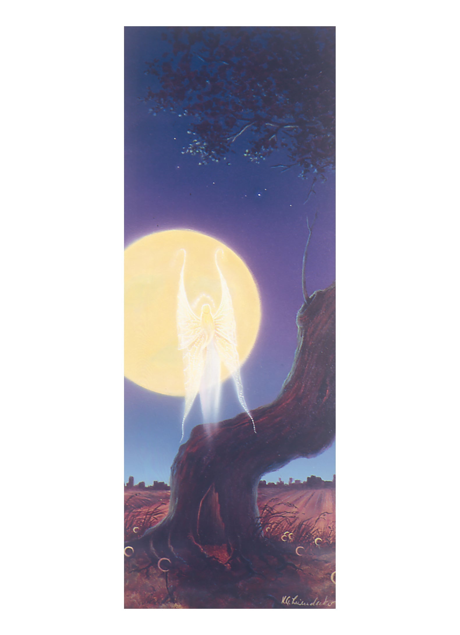 Moon Elf