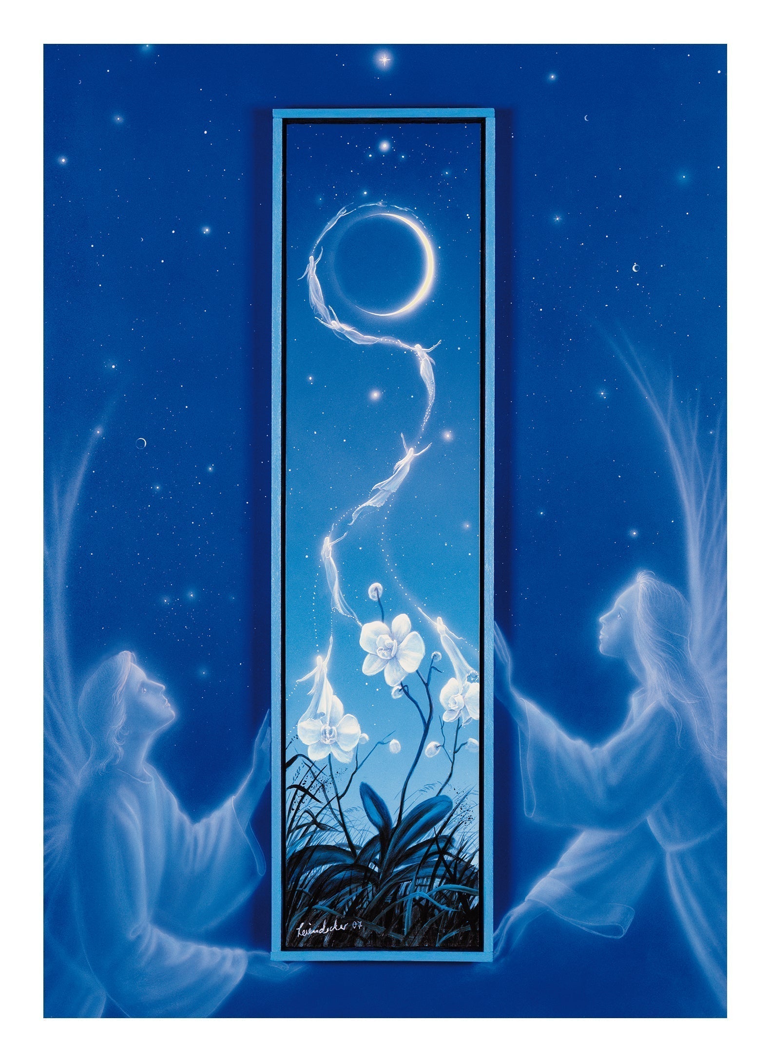 Moon Orchid
