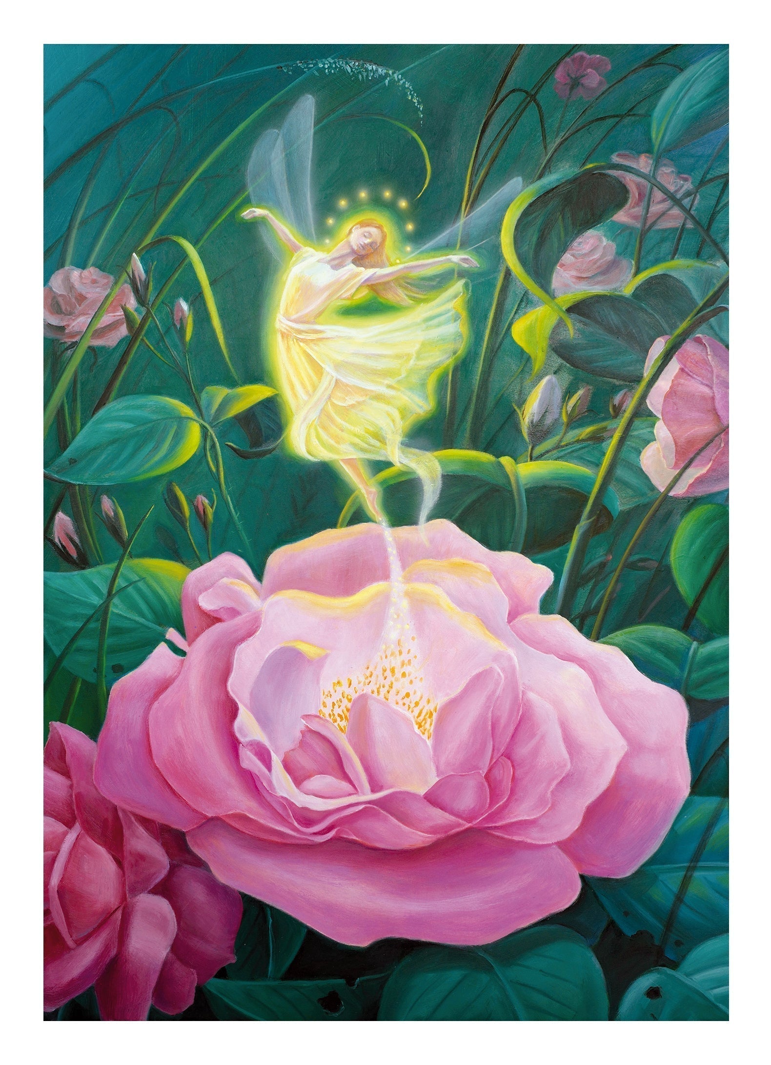 Rose Elf