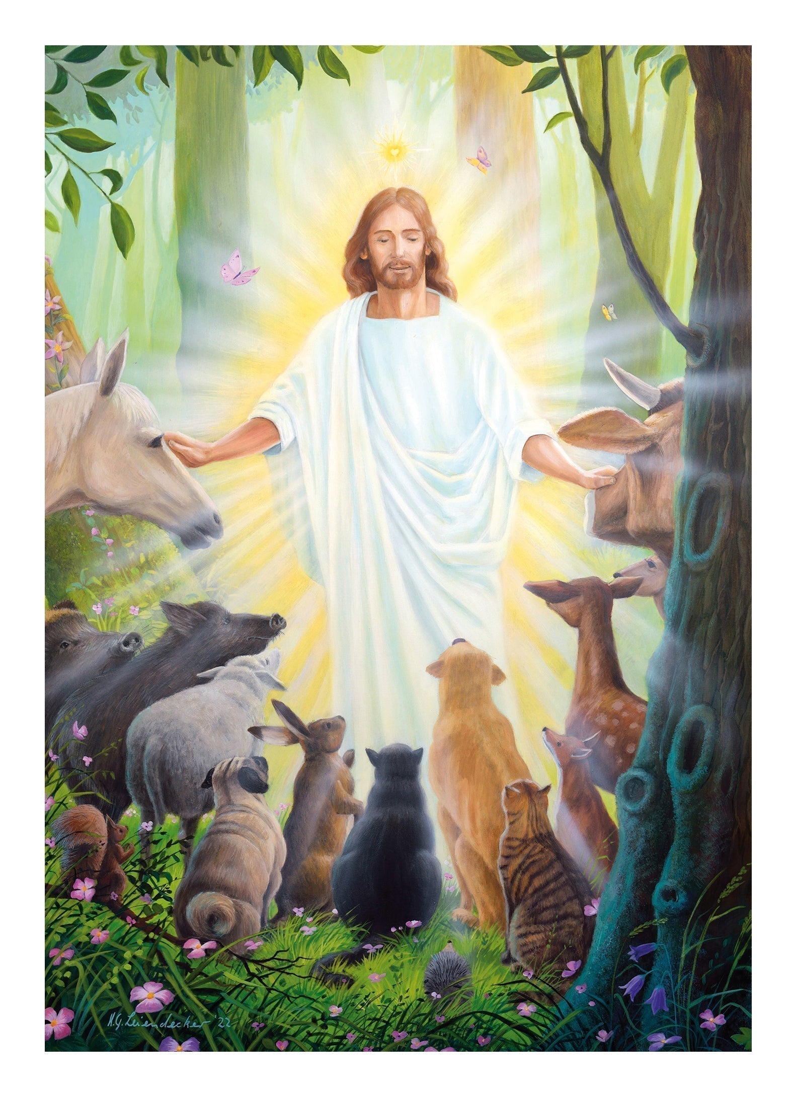 Blessing for the animals