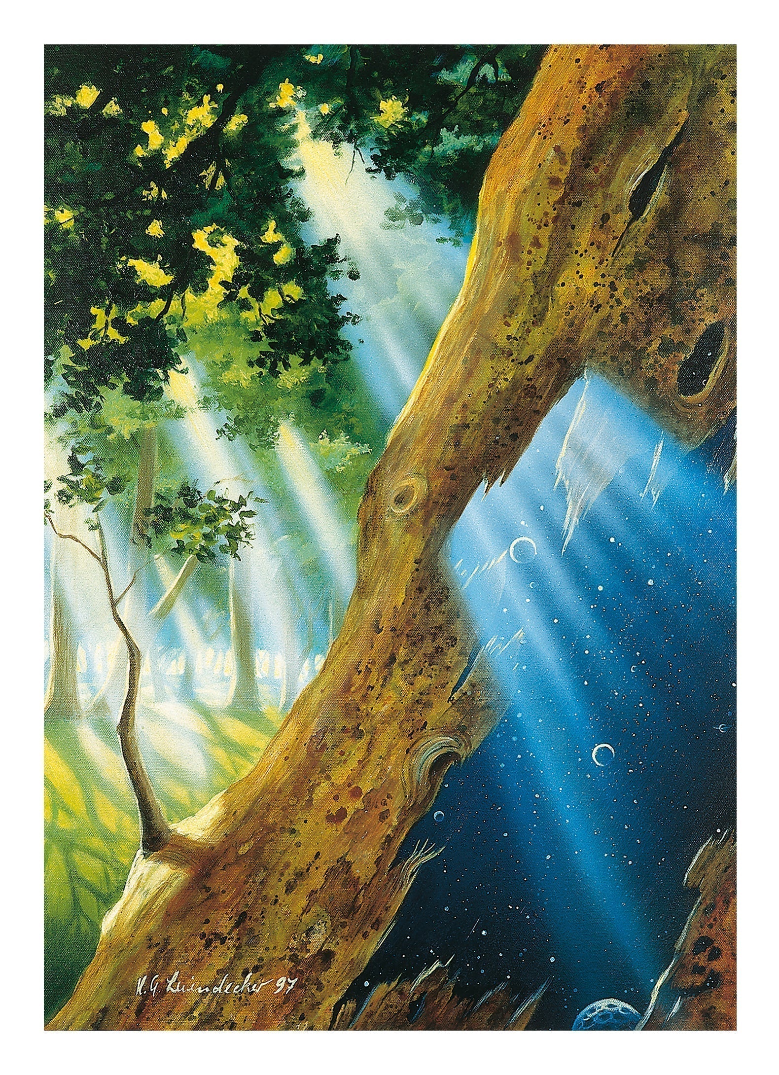 Worlds within worlds
