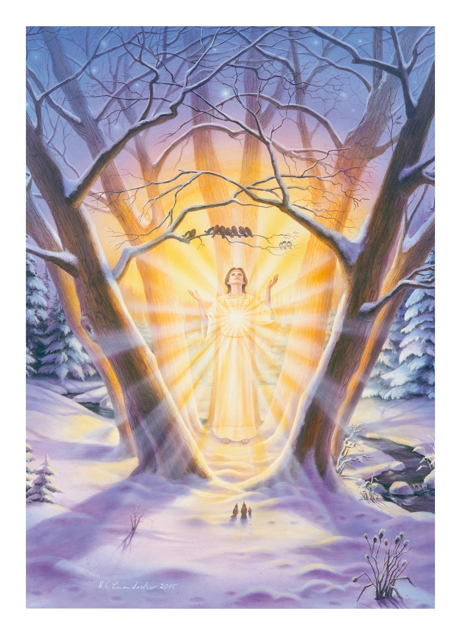 Winter in the forest