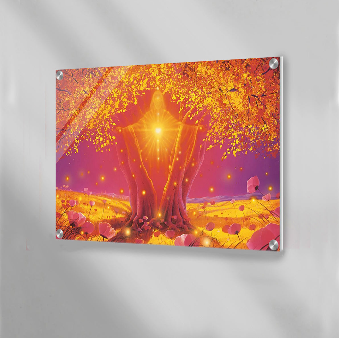 Acrylglasbilder